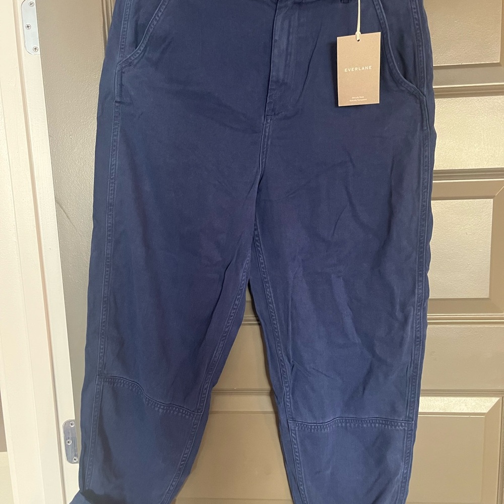 Everlane Women’s Loose Blue Pants